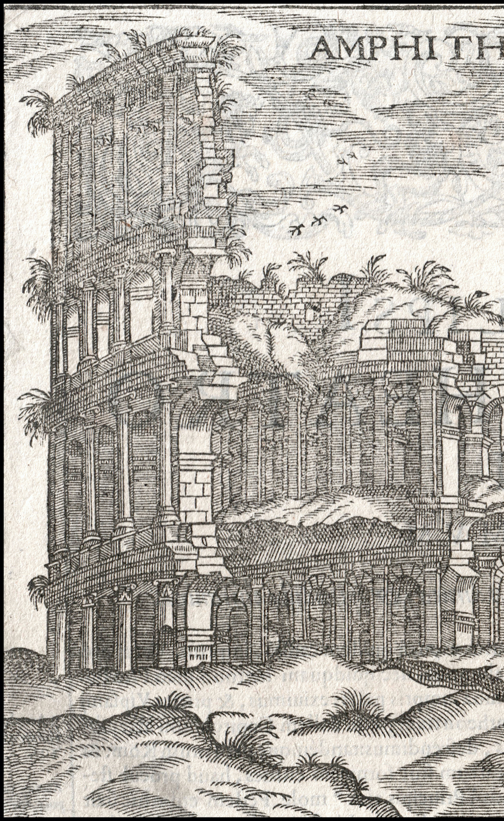 16世纪木版画:罗马斗兽场