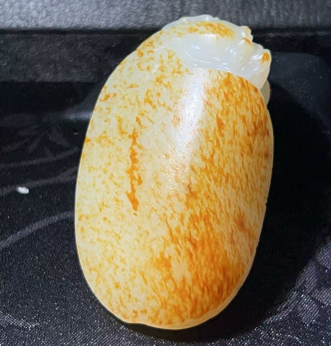 龙龟赐福 