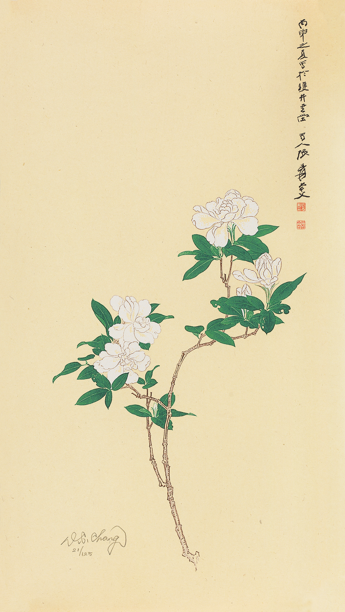 栀子花21/125