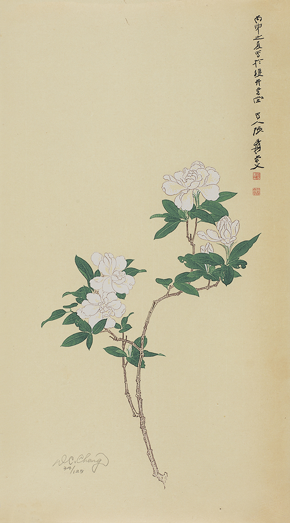 栀子花开34/125