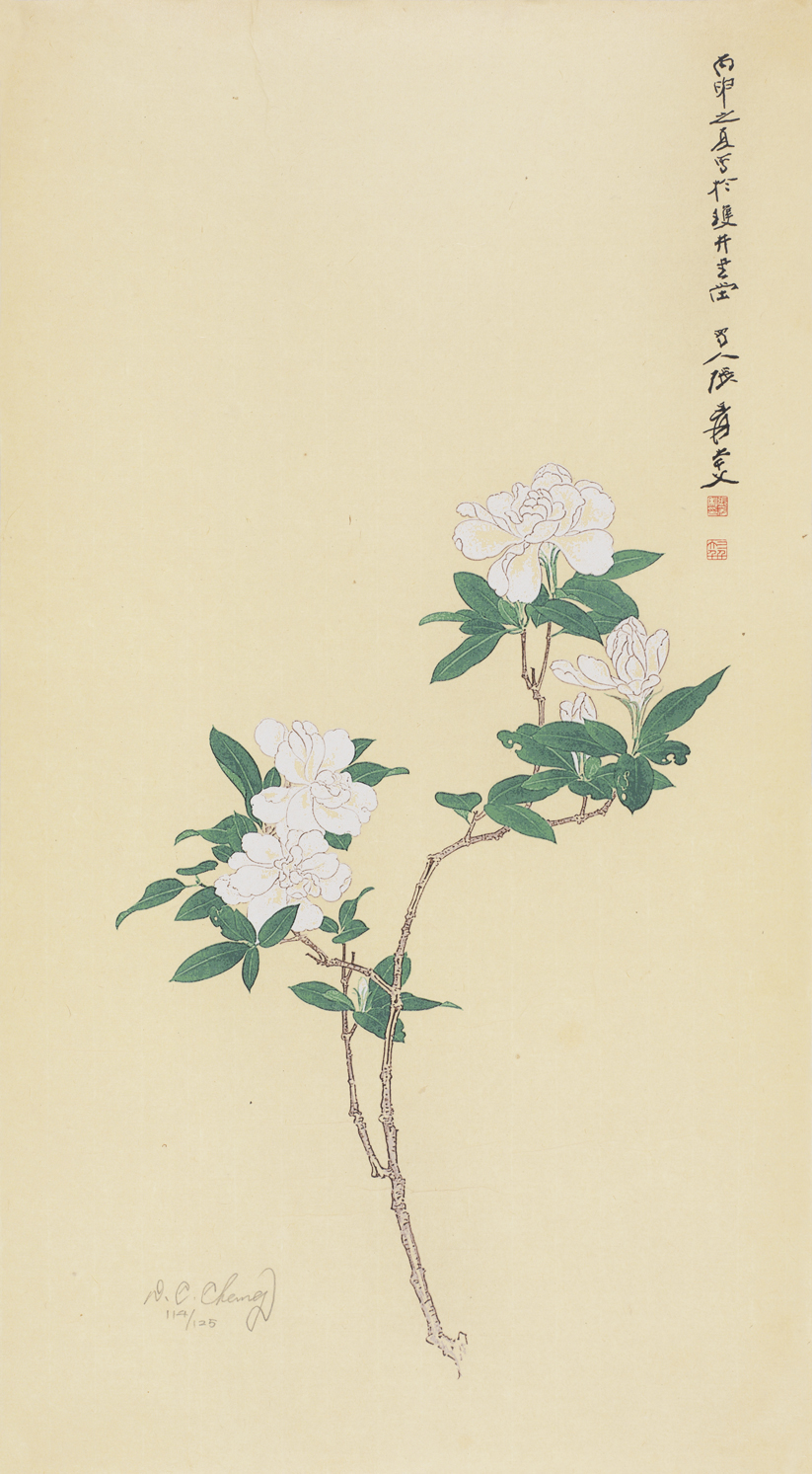 栀子花开114/125