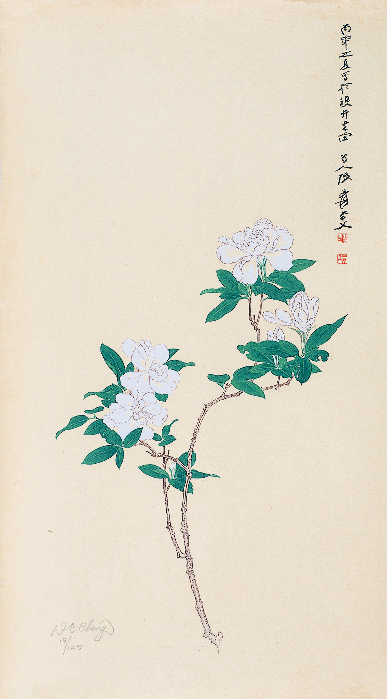 栀子花开15/125