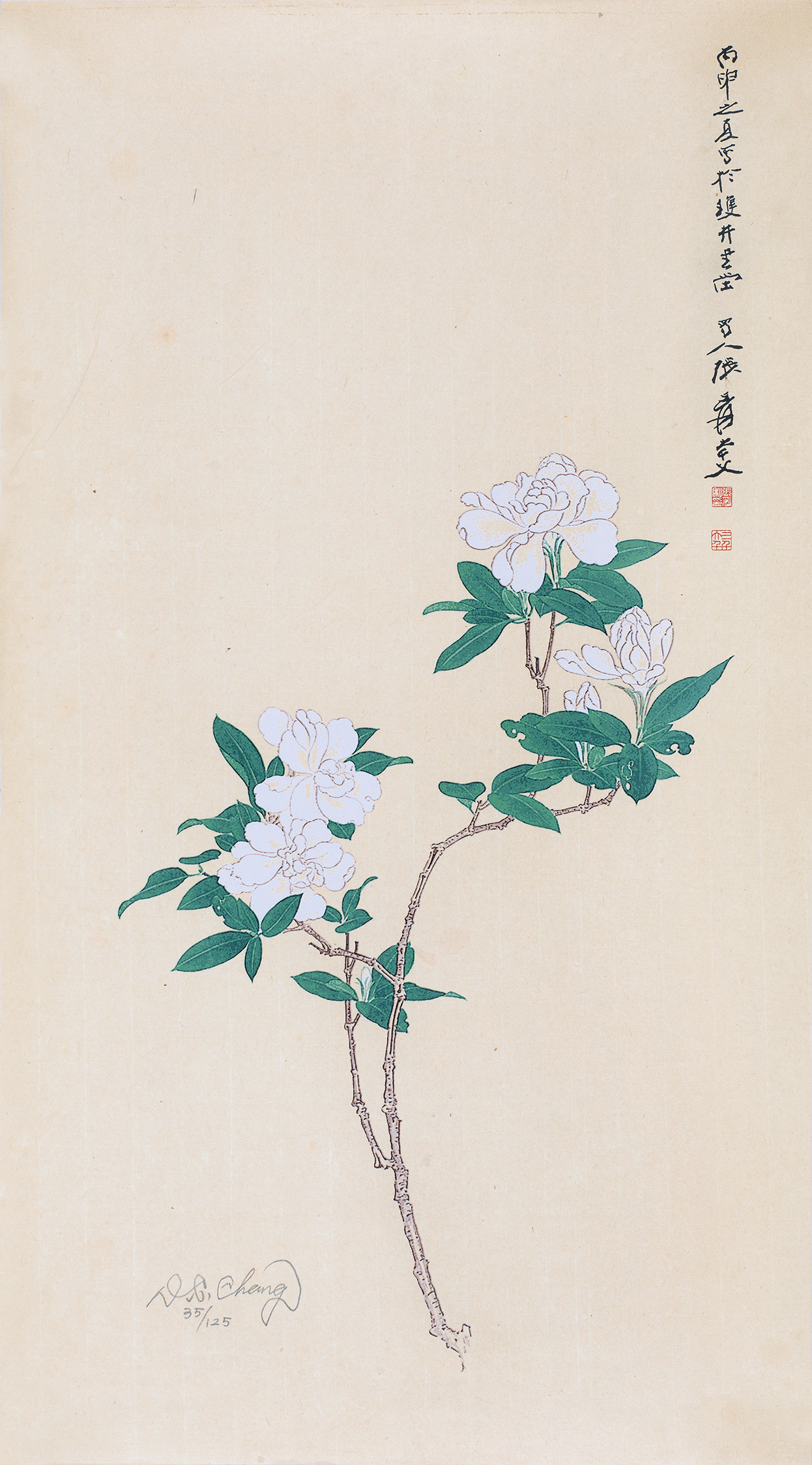 栀子花开35/125