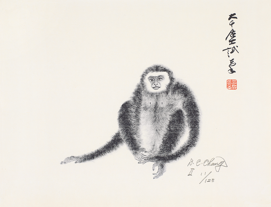猿11/125