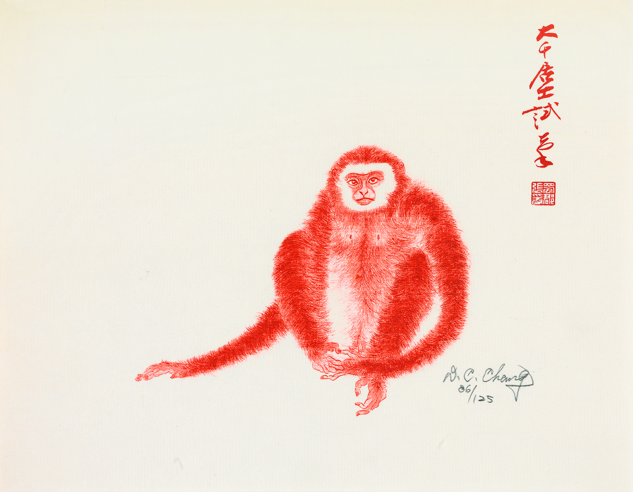 猿86/125