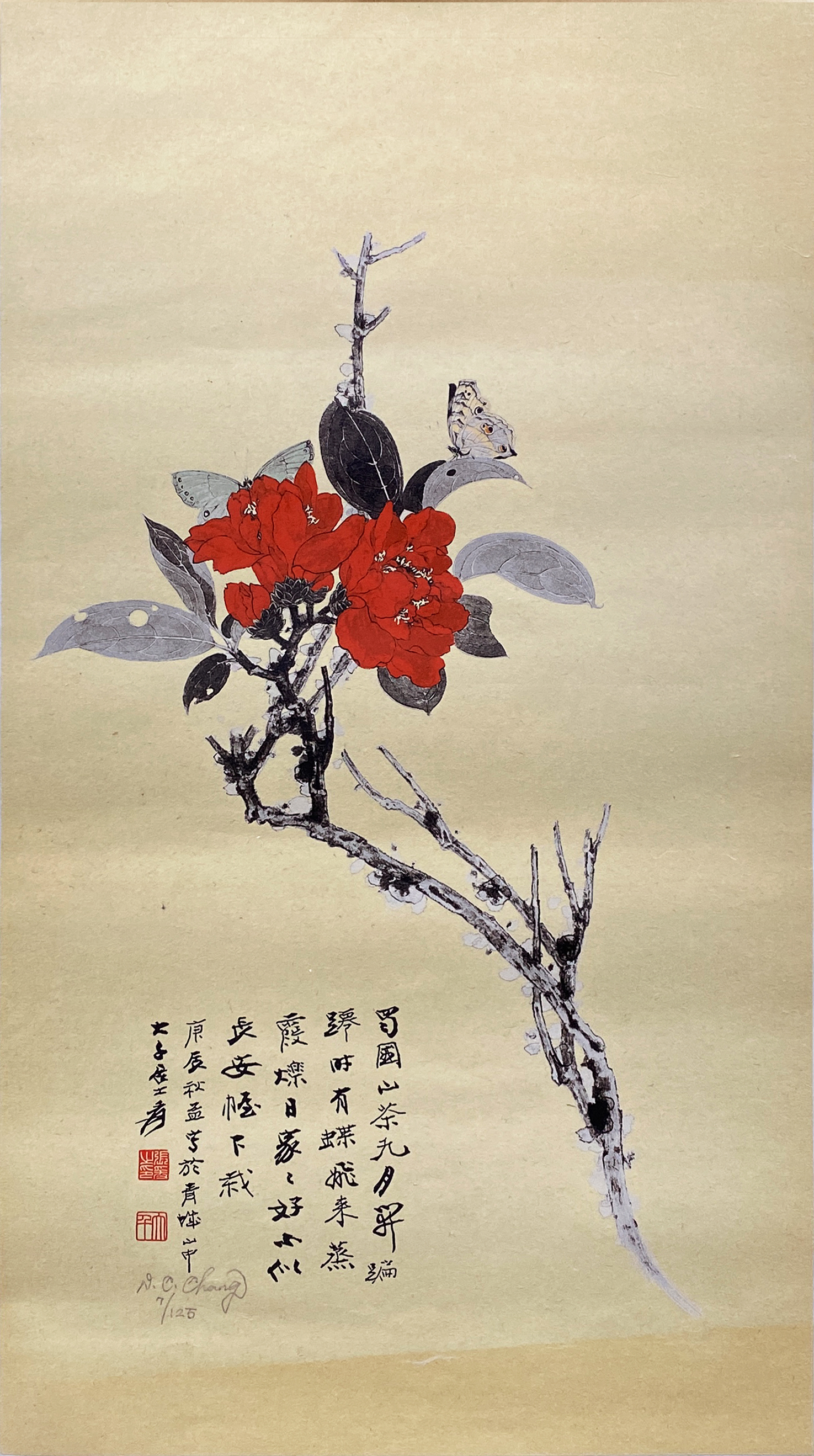 山茶花7