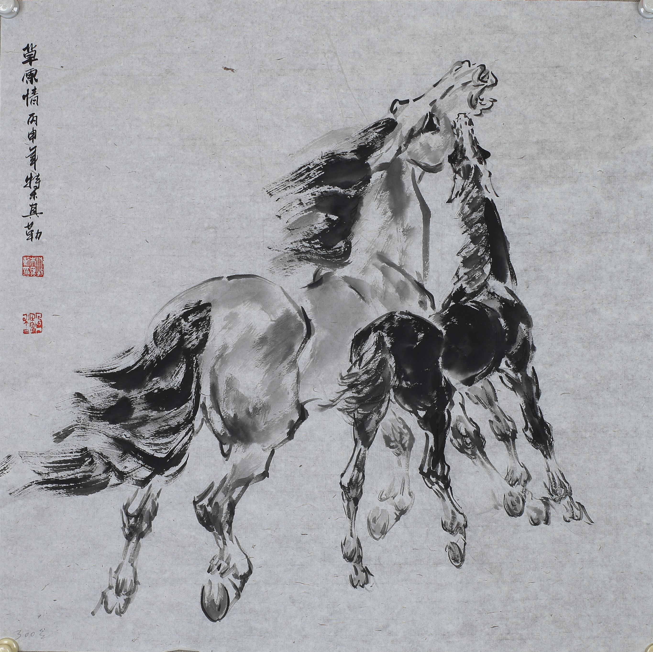 草原情